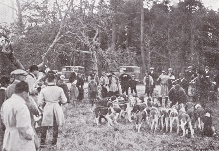 Curée aux Cinq Chênes en forêt de Château-Vallière en 1933 - Don de M. E. Frachon à la Société de Vènerie